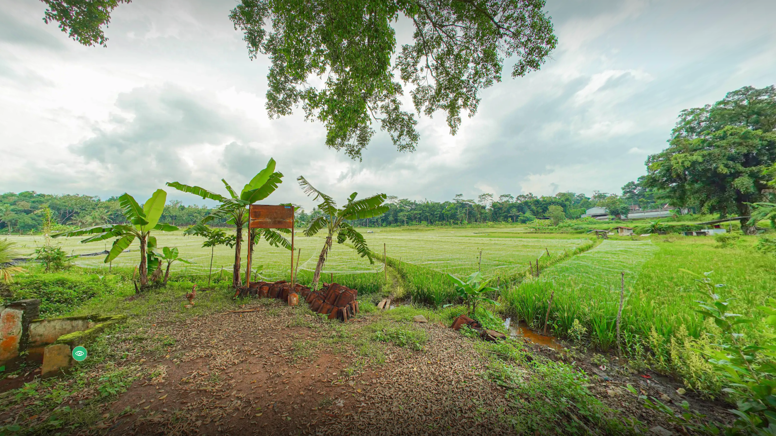 Desa Wisata Nongkosawit: Menemukan Kedamaian 